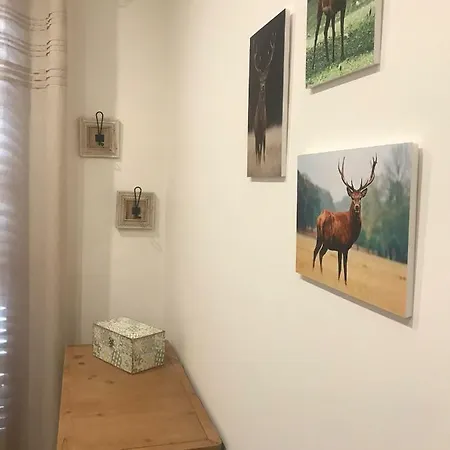 Neret Ii Апартаменты *